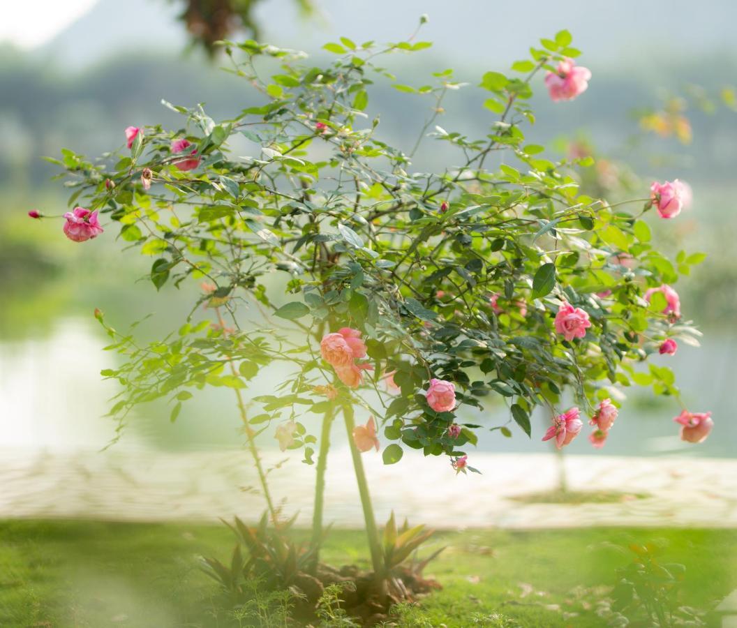 Serena Riverside Homestay - Trang An Ninh Bình Kültér fotó